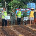 Babinsa dan Bhabinkamtibmas Sukorejo Bersinergi Dukung Program Ketahanan Pangan Melalui Penanaman Jagung