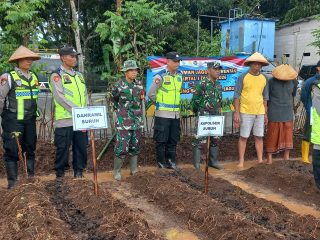 Babinsa dan Bhabinkamtibmas Sukorejo Bersinergi Dukung Program Ketahanan Pangan Melalui Penanaman Jagung